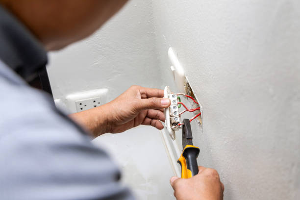Best Ceiling Fan Installation Electrician  in Crane, MO