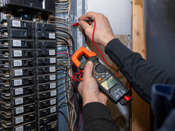 Best Home Electrical Repair  in Crane, MO