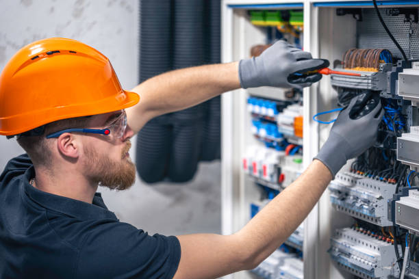 Best Electric Panel Repair  in Crane, MO